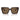 Dolce & Gabbana Sonnenbrille DG4446B 502/73 Havana/Braun Damen