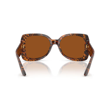Dolce & Gabbana Occhiali da Sole DX4012 347073 Leo Trasparente Marrone Scuro Bambini 4