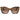 Fendi Lettering Marrone Farfalla Occhiali da Sole