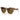 Miu Miu Occhiali da Sole MU01YS 14L09Z Marrone Miele/Marrone Scuro Donna 2