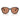 Miu Miu Sonnenbrille MUB01S 16K90Q Schwarz/Braun Damen