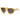 Persol Okulary Przeciwsłoneczne PO0050S 204/B1 Miele/Grigio Scuro Unisex 2