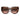 Prada Sunglasses PR14WS 01R0A6 Havana-Brown Gradient Women 4