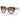 Prada Sunglasses PR14WS 01R0A6 Havana-Brown Gradient Women 1