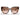 Prada Okulary Przeciwsłoneczne PR14WS 01R0A6 Havana-Marrone Sfumato Damskie