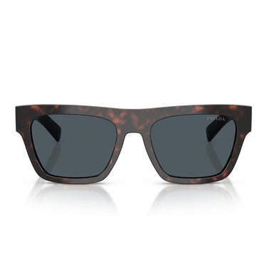 Prada Sunglasses PRC03S 17N70B Root Brown/Dark Gray Men