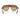 Prada Occhiali da Sole PRC05S 24G70T Quercia Rigato Verde Marrone Donna 4