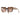 Prada Sunglasses PR15WS 01R0A6 Havana/Brown Gradient Unisex 4