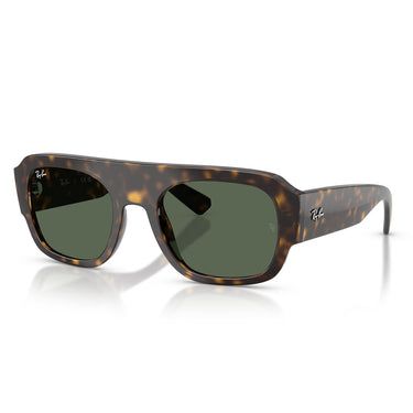Ray-Ban Okulary Przeciwsłoneczne RB2218 679071 Brązowy/Zielony Unisex 1