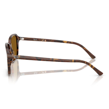 Ray-Ban Sonnenbrille RB2231 141833 Raimond Havana/Braun B-15 Unisex 4
