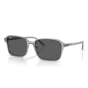 Ray-Ban Sonnenbrille RB2231 1436B1 Raimond Grau/Dunkelgrau Unisex 2