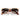 Ray-Ban Gafas de Sol RB2240 144371 Wayfarer Beige Sobre Marrón/Gris Degradado Unisex 6