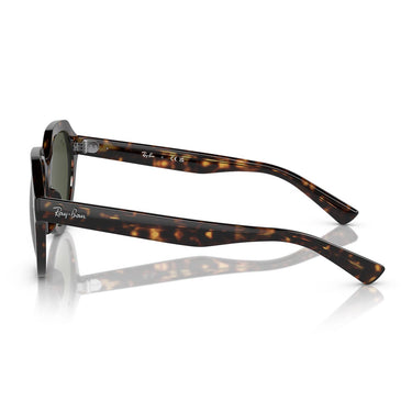Ray-Ban Occhiali da Sole RB4399 902/31 Gina Marrone/Verde Unisex 2