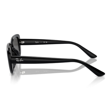 Ray-Ban Gafas de Sol RB4421D 667787 Negro/Gris Oscuro Unisex 2
