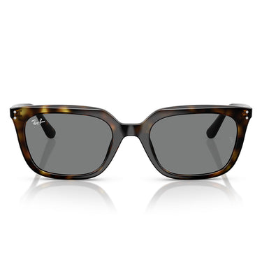 Ray-Ban Gafas de Sol RB4439D 710/87 Marrón/Gris Oscuro Unisex