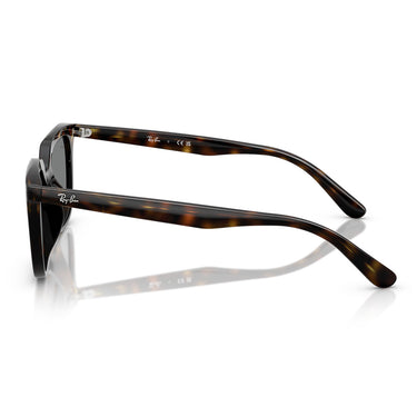 Ray-Ban Sonnenbrille RB4439D 710/87 Braun/Dunkelgrau Unisex 2