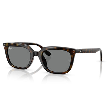 Ray-Ban Sonnenbrille RB4439D 710/87 Braun/Dunkelgrau Unisex 1