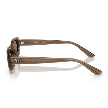 Ray-Ban Sonnenbrille RB4441D 677973 Braun/Braun Unisex 2