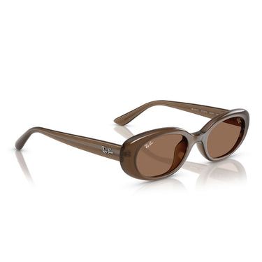 Ray-Ban Sonnenbrille RB4441D 677973 Braun/Braun Unisex 4