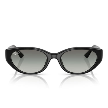 Ray-Ban Sunglasses RB4457D 667711 Black/Gray Gradient Unisex