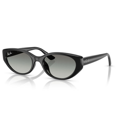 Ray-Ban Sunglasses RB4457D 667711 Black/Gray Gradient Unisex 2