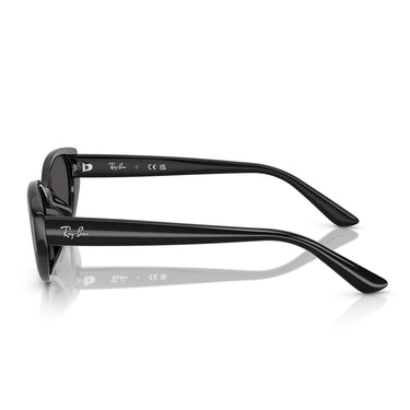 Ray-Ban Sunglasses RB4457D 667787 Black/Grey Unisex 3