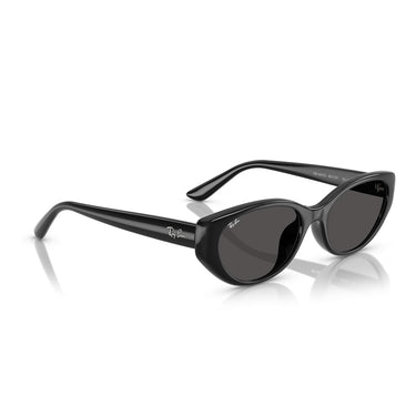 Ray-Ban Sunglasses RB4457D 667787 Black/Grey Unisex 5