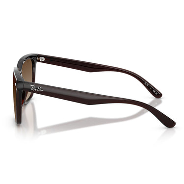 Ray-Ban Sonnenbrille RB4466D 714/13 Dunkelbraun Transparent/Braun Verlauf Unisex 2