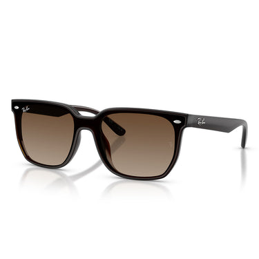 Ray-Ban Sonnenbrille RB4466D 714/13 Dunkelbraun Transparent/Braun Verlauf Unisex 1