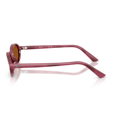 Ray-Ban Occhiali da Sole RB4472 685773 Marrone Violetto Marrone Scuro Unisex 3