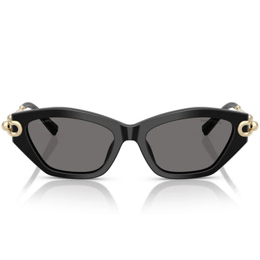 Tiffany & Co. Okulary Przeciwsłoneczne TF4231U 800181 Czarny/Ciemnoszary Damskie Polaryzacyjne