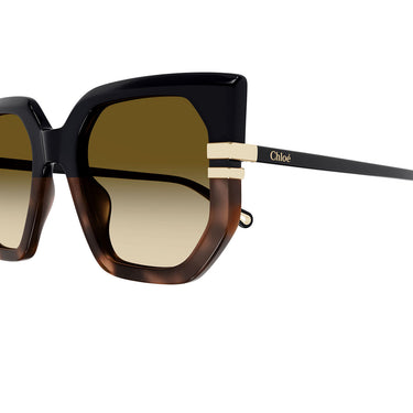 Chloé Occhiali da Sole CH0240S 003 Nero Marrone Donna 3