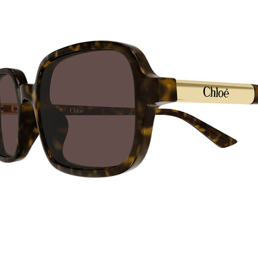 Chloé Occhiali da Sole CH0363S 002 Marrone Marrone Donna 3