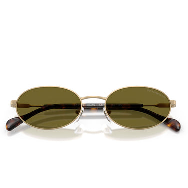 Emporio Armani Occhiali da Sole EA2175 3002/2 Oro Pallido Opaco/Verde Scuro Uomo 5