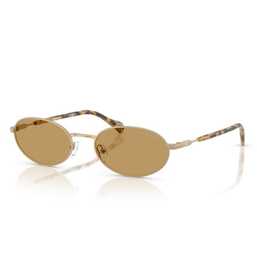 Emporio Armani Occhiali da Sole EA2175 300273 Oro Pallido Opaco/Marrone Uomo 1