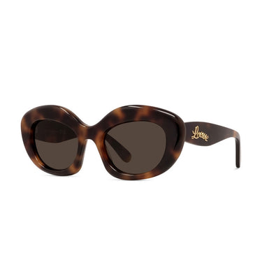 Loewe Curvy Brązowy Cat Eye Okulary Przeciwsłoneczne