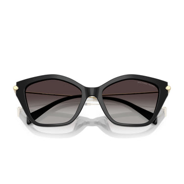 Michael Kors Okulary Przeciwsłoneczne MK2246U 30058G Catskills Czarny/Szary Damskie