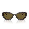 Prada Lunettes de Soleil PRA02S 17N09Z Root Écaille/Marron Foncé Unisexe