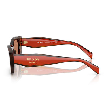 Prada Occhiali da Sole PRB05S 01K90Q Juniper Tortoise Cotto Marrone Donna  3