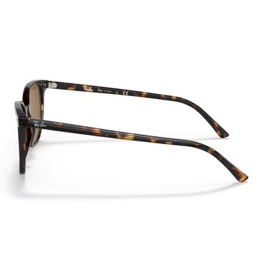 Ray-Ban Gafas de Sol RB2197 902 33 Elliot Havana Marrón Unisex 2