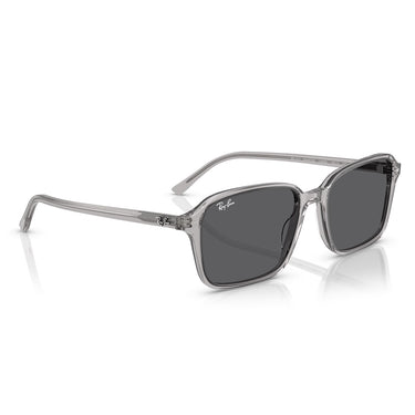 Ray-Ban Gafas de Sol RB2231 1436B1 Raimond Gris/Gris Oscuro Unisex 4