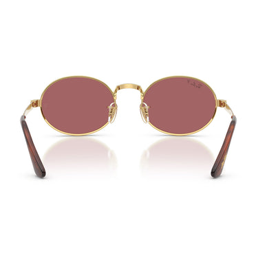 Ray-Ban Occhiali da Sole RB3931 001 AF x ASAP Rocky Oro Arista Viola Unisex Polarizzati  4