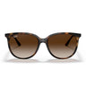 Ray-Ban Lunettes de Soleil RB4378 710/13 Havana/Marron Unisexe