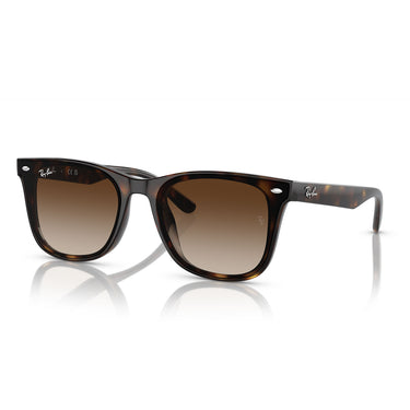 Ray-Ban Gafas de Sol RB4420 710/13 Marrón/Marrón Unisex