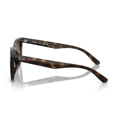 Ray-Ban Gafas de Sol RB4420 710/13 Marrón/Marrón Unisex