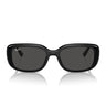 Ray-Ban Sonnenbrille RB4421D 667787 Schwarz/Dunkelgrau Unisex