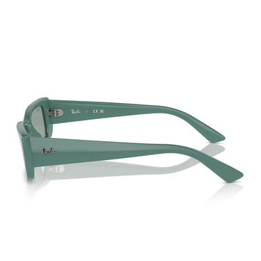 Ray-Ban Okulary Przeciwsłoneczne RB4425 676282 Teru Zielony/Zielony Unisex