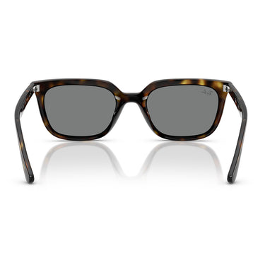 Ray-Ban Sonnenbrille RB4439D 710/87 Braun/Dunkelgrau Unisex 3