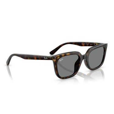 Ray-Ban Sonnenbrille RB4439D 710/87 Braun/Dunkelgrau Unisex 4