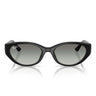 Ray-Ban Sunglasses RB4457D 667711 Black/Gray Gradient Unisex